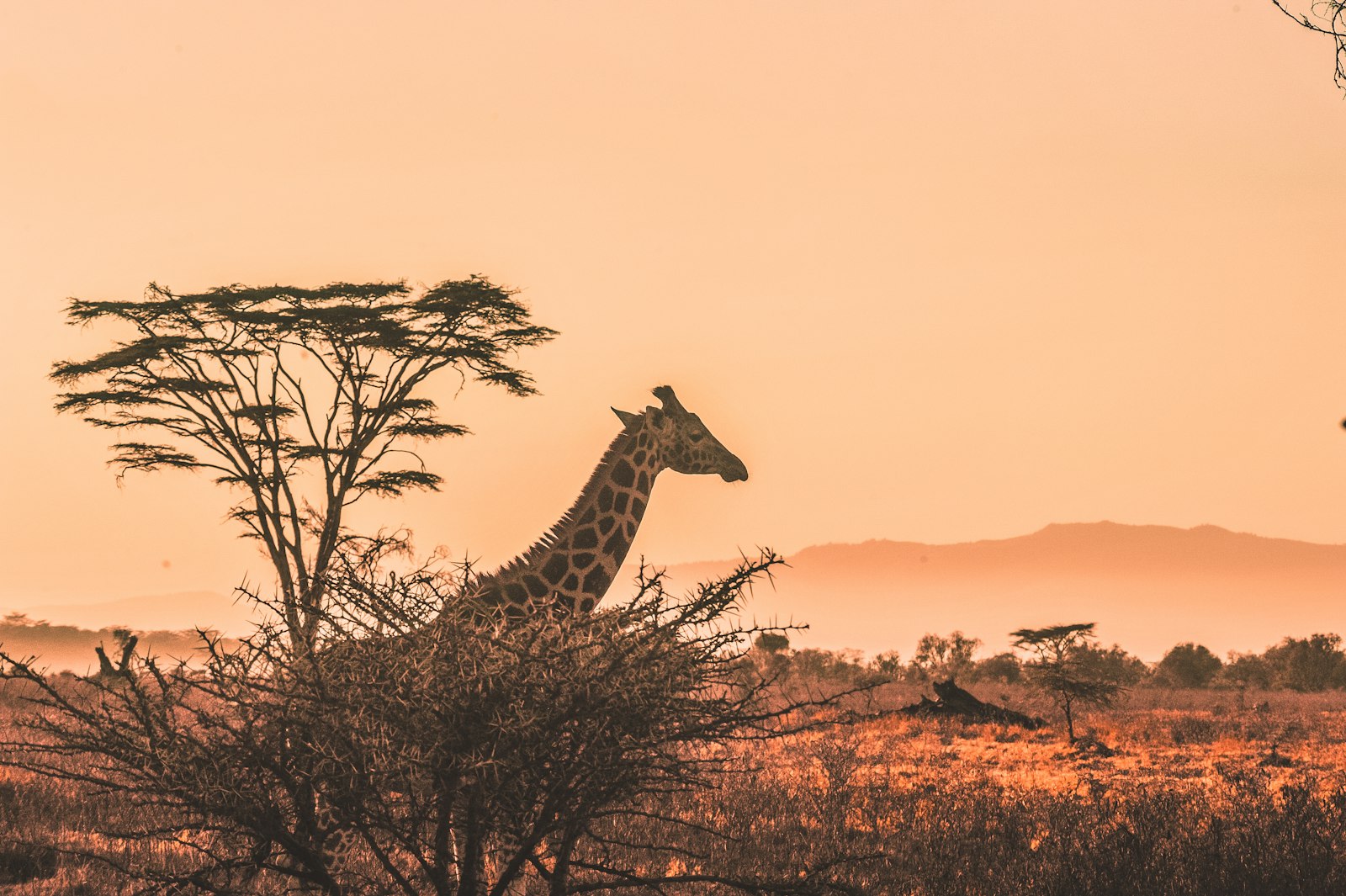 African community gathering — decolonizing psychology from indigenous knowledge